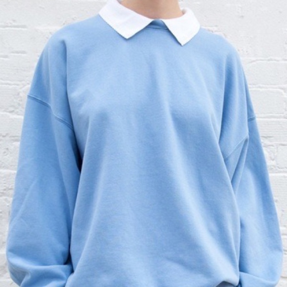 blue brandy collared erica